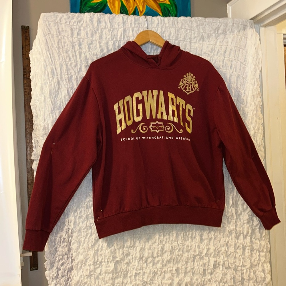 Harry Potter Wizarding World: Maroon & Gold Hoodie, Size: XXL (Child)